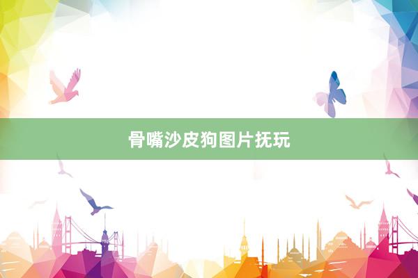 骨嘴沙皮狗图片抚玩