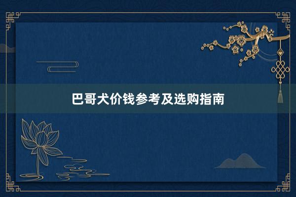 巴哥犬价钱参考及选购指南